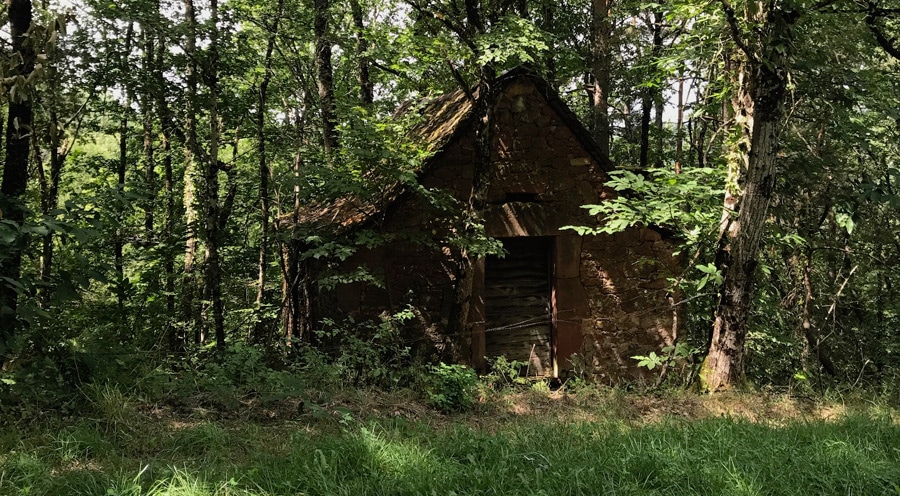 covid 19 - Gestion du stress - Séances en ligne