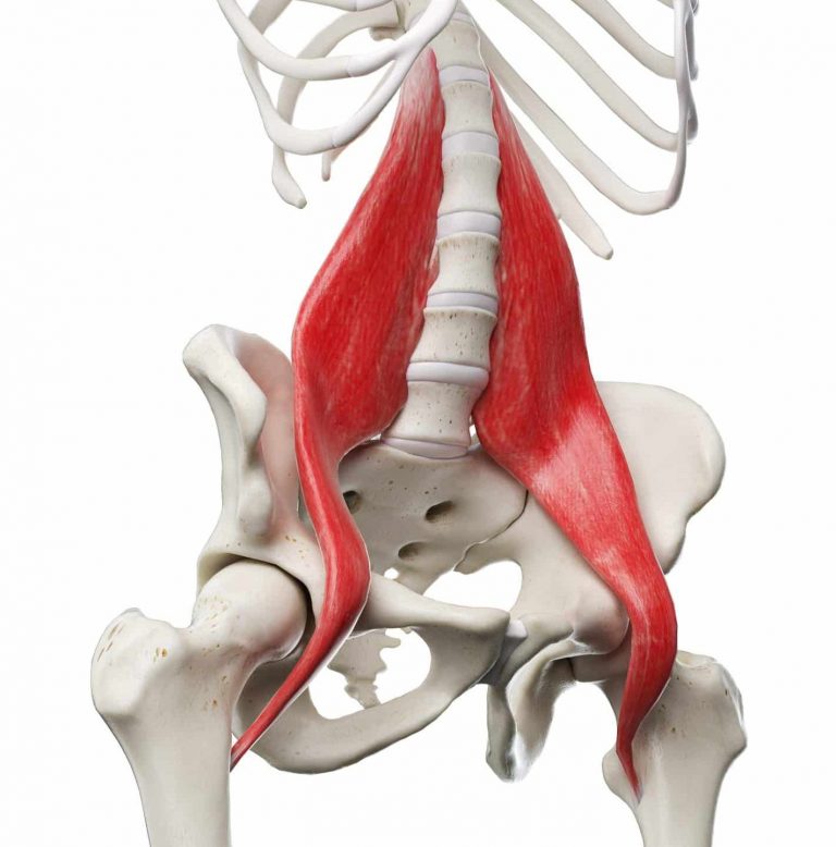 grand psoas image